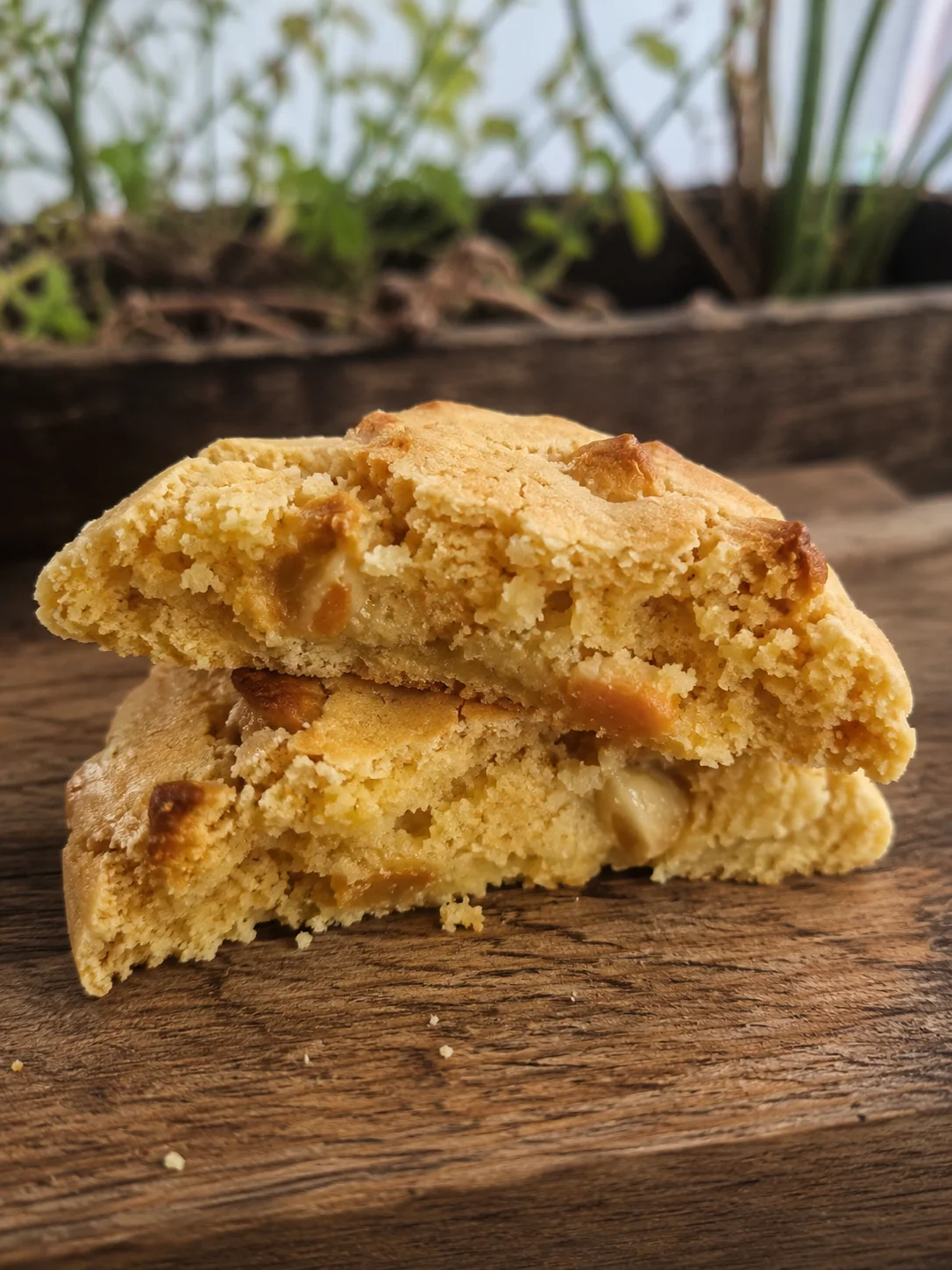 Cookie Chocolat blanc— Sans Gluten